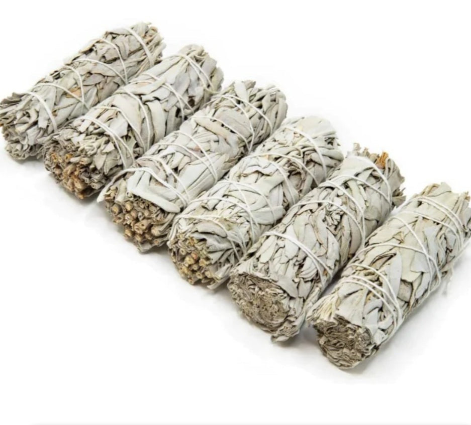 White Sage Smudge Sticks | Cleansing & Spiritual Protection
