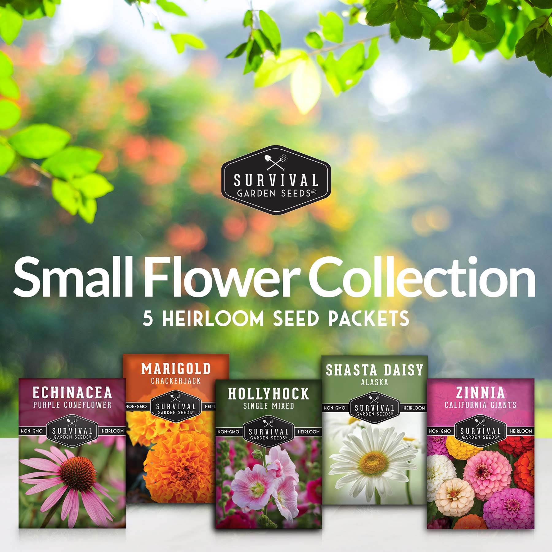 5-Variety Heirloom Flower Seed Collection – Non-GMO Annual & Perennial Blooms for Pollinator Gardens and Cut Arrangements