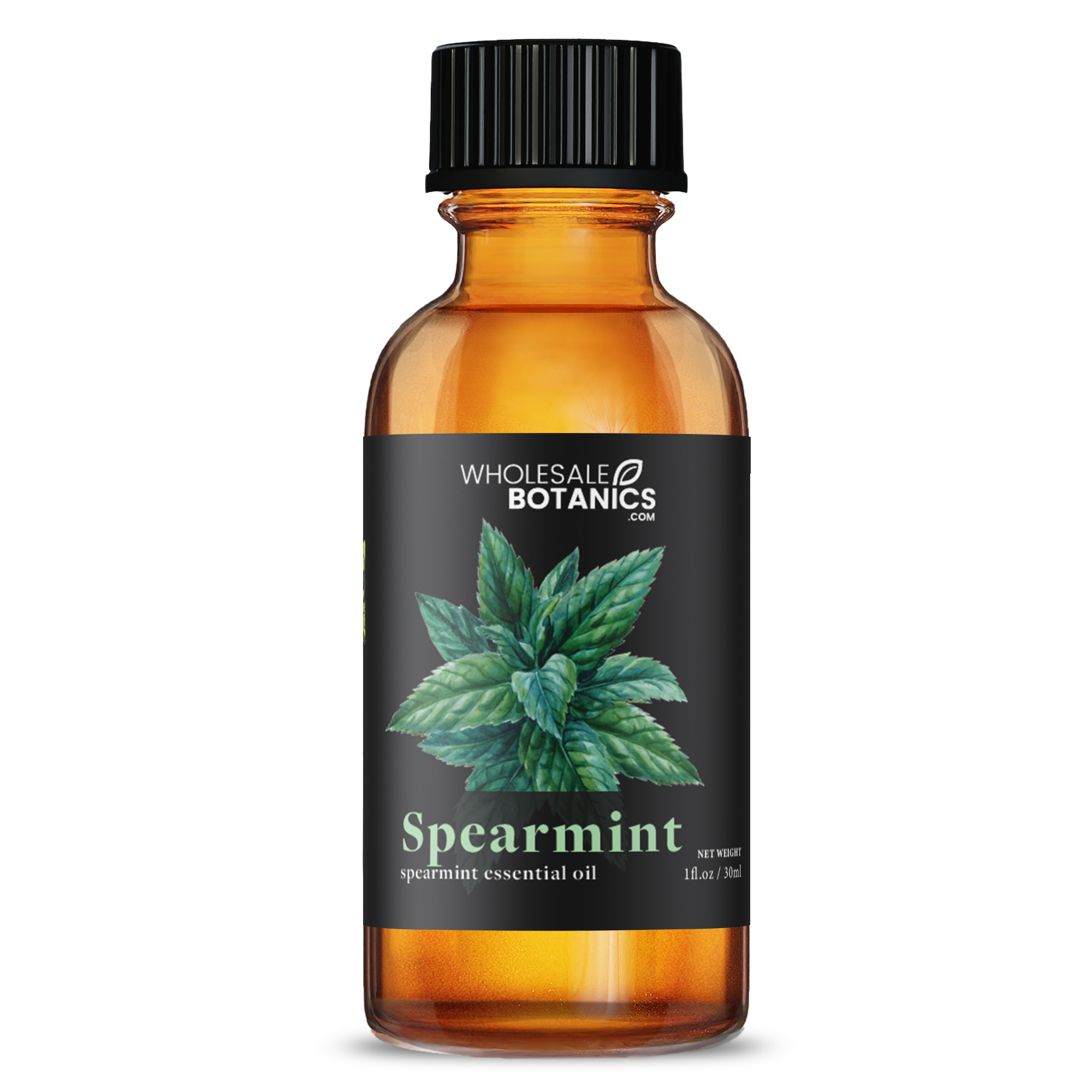 Spearmint Essential Oil