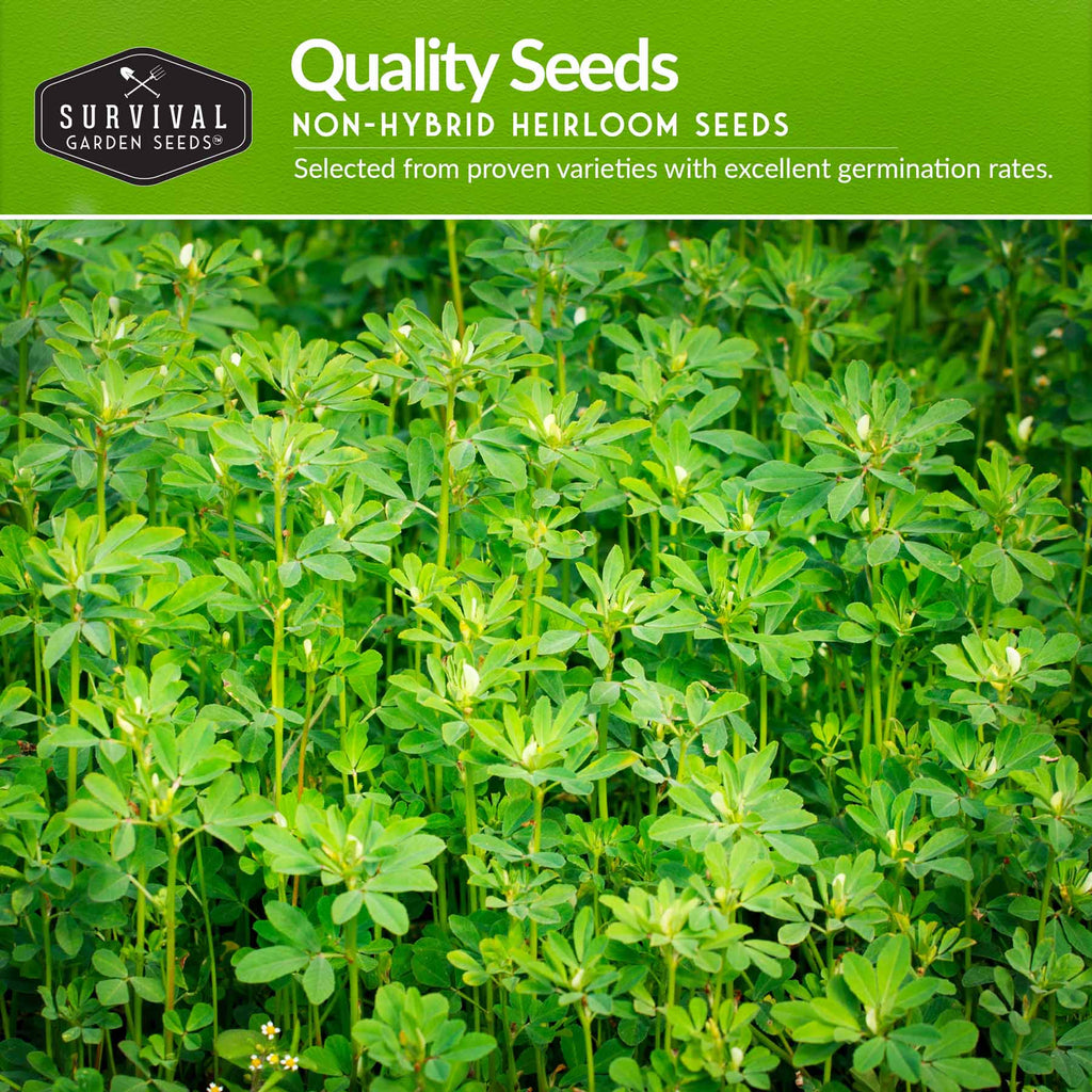 10-Variety Heirloom Spring Vegetable Seed Collection – Non-GMO Cool-Weather Crops for Early, Fall, or Indoor Gardening