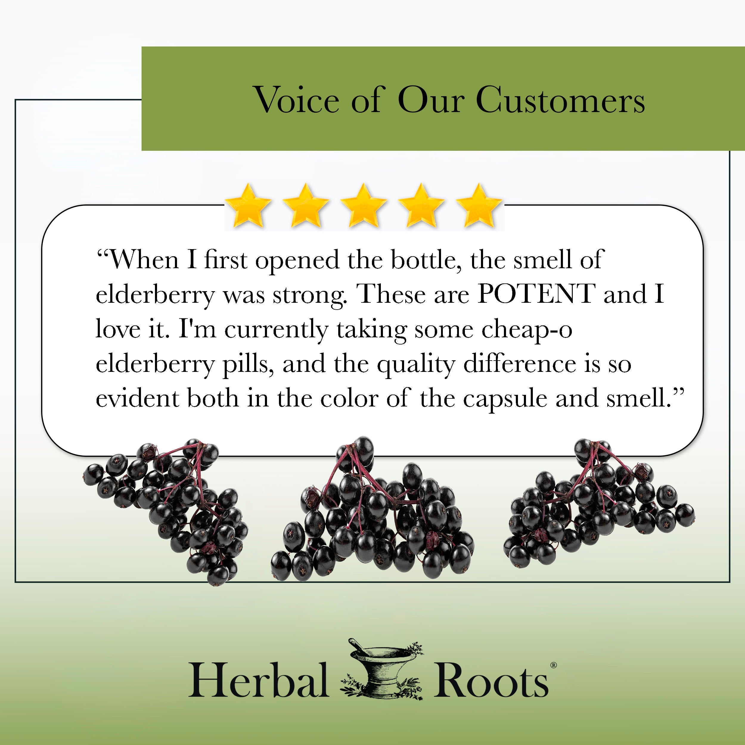 Organic Black Elderberry