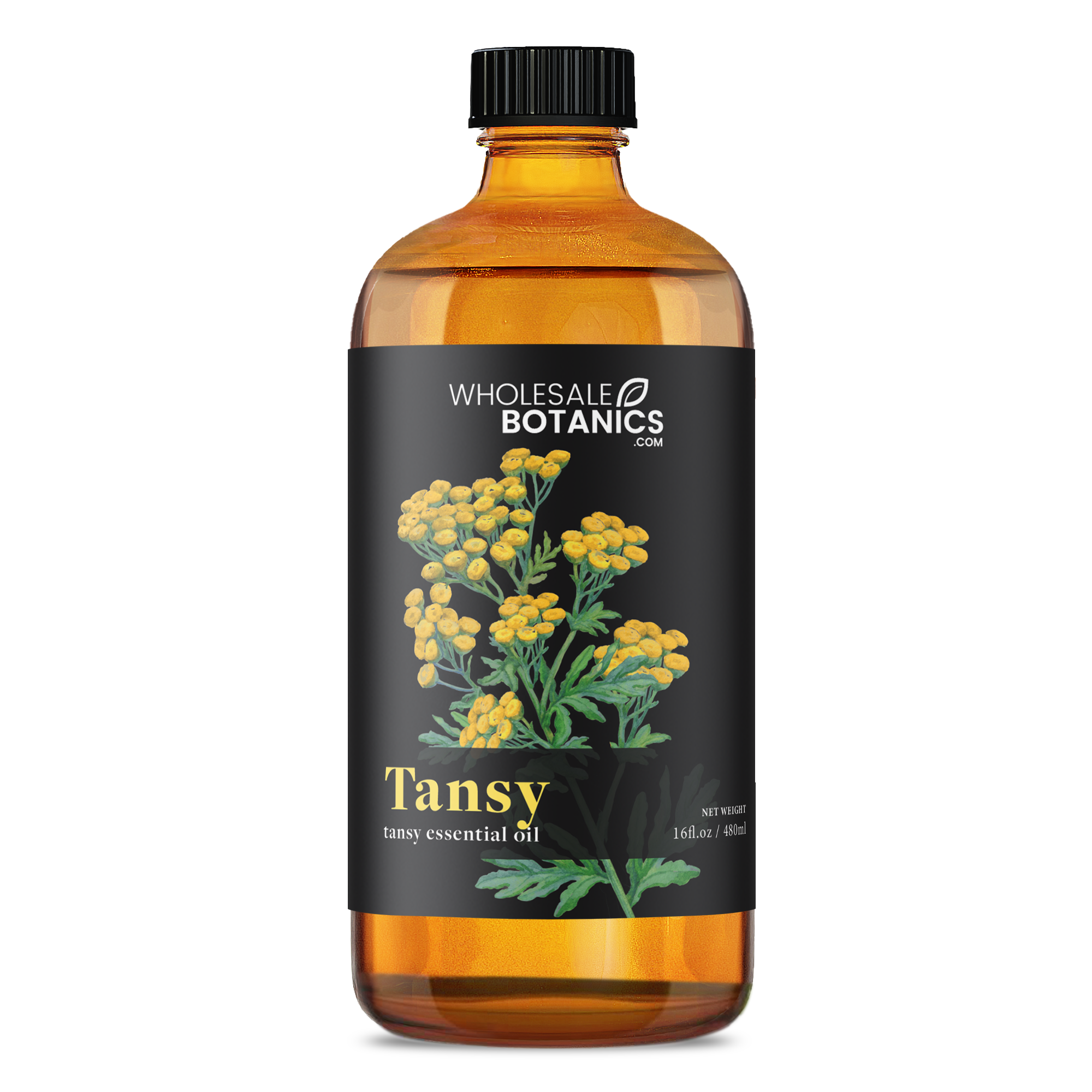 Tansy Essential Oil
