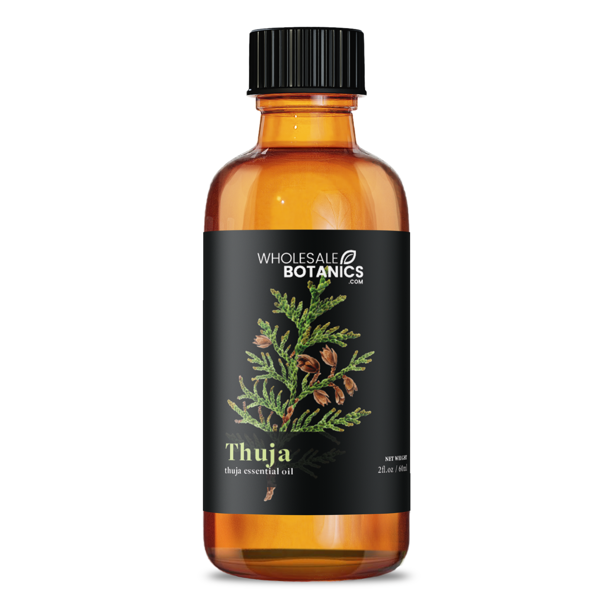 Thuja Essential Oil