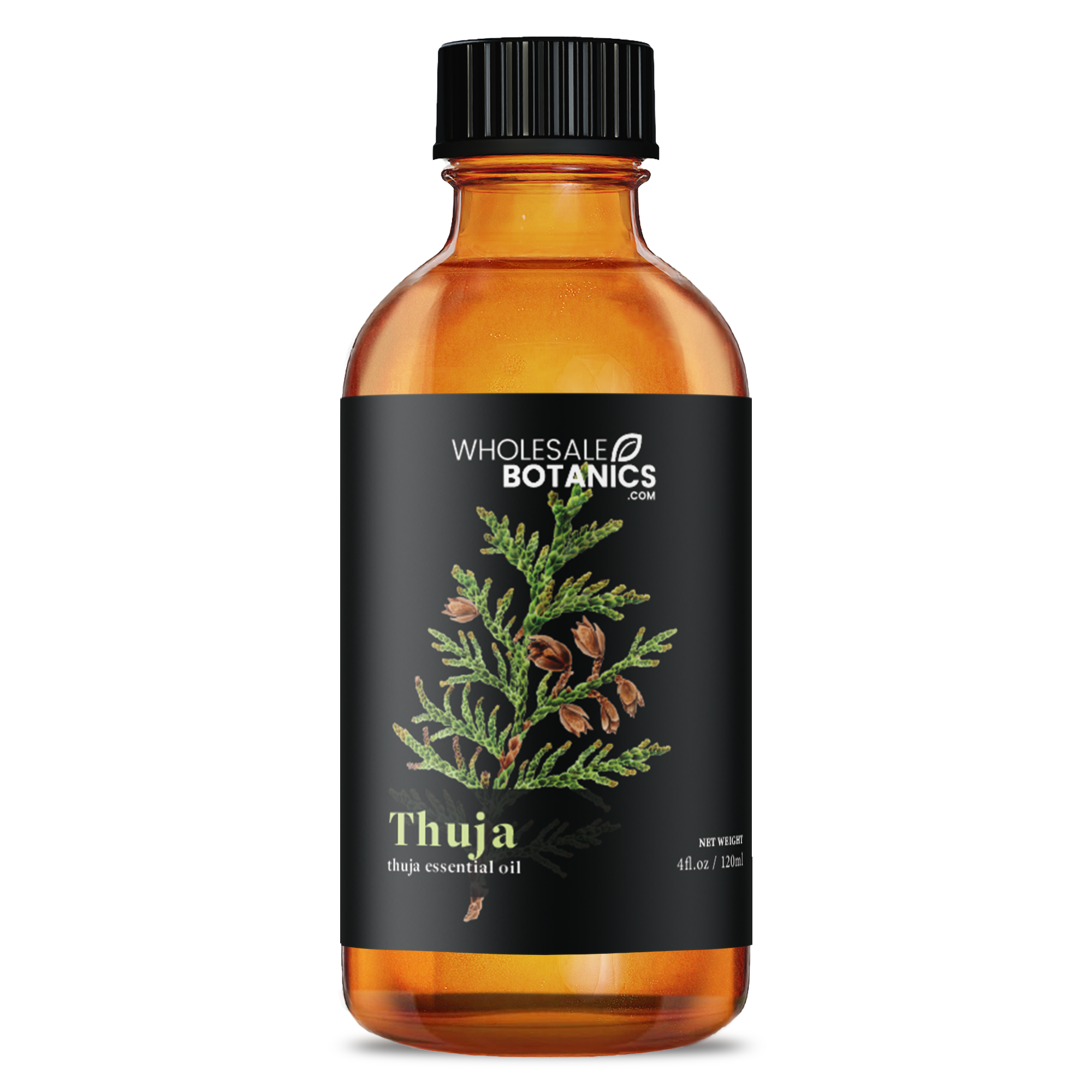 Thuja Essential Oil