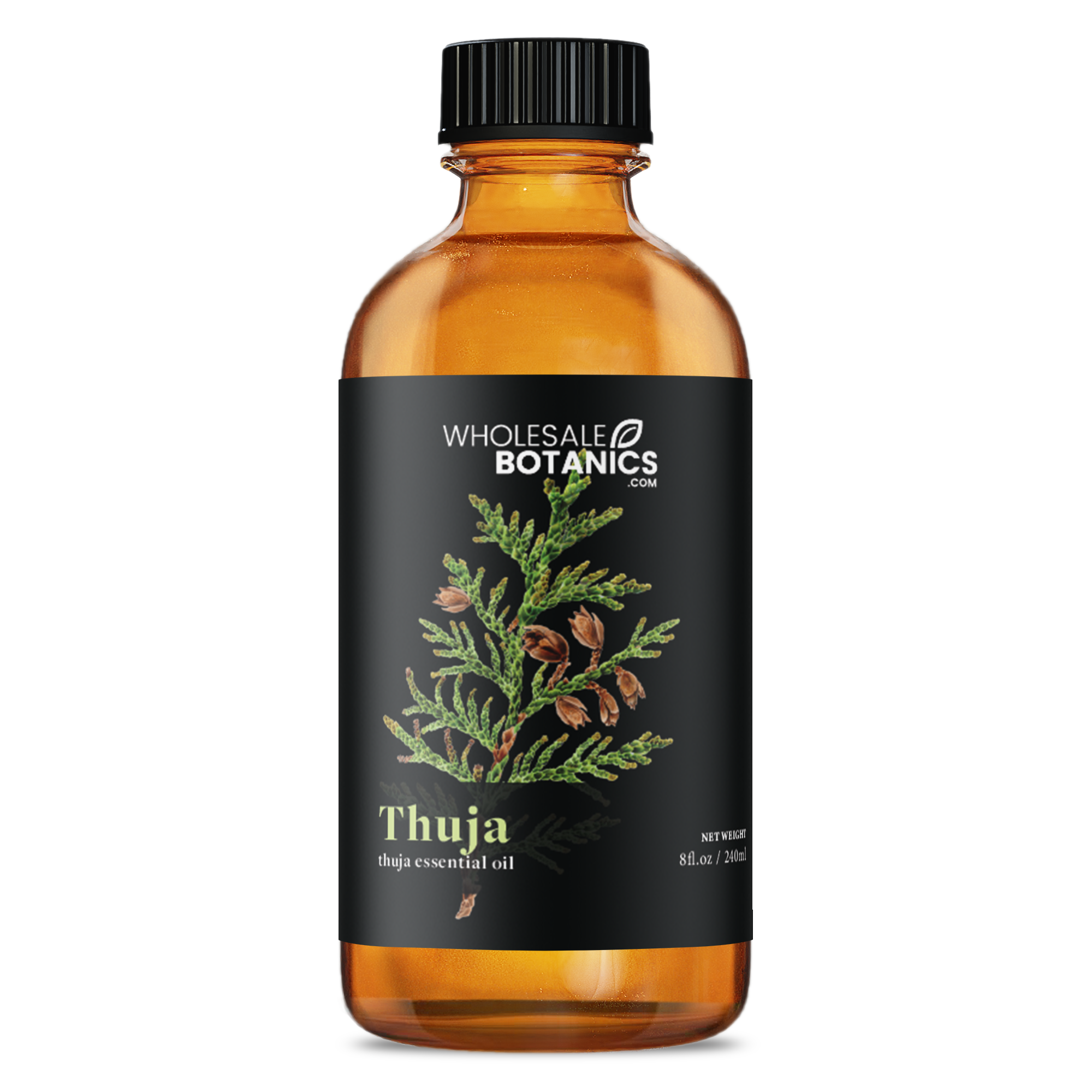 Thuja Essential Oil