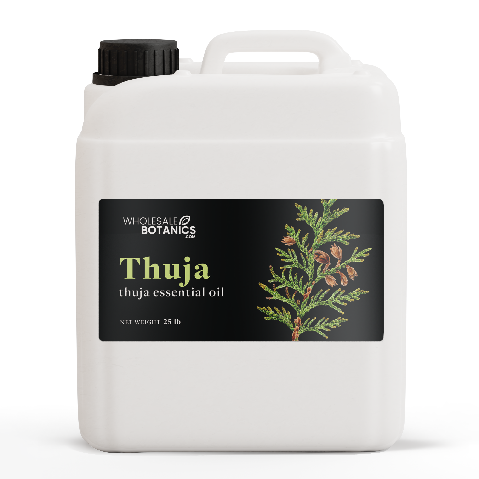 Thuja Essential Oil