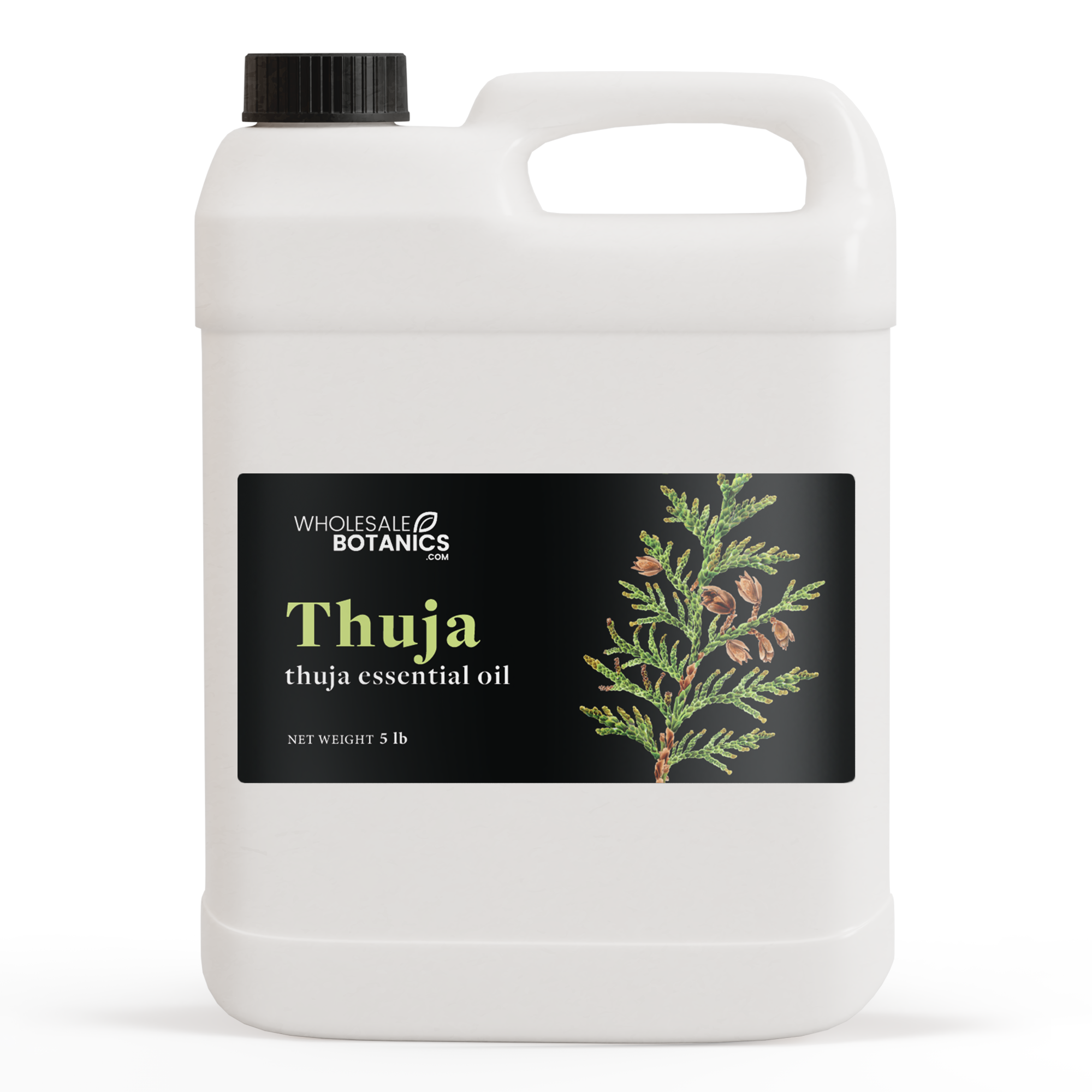 Thuja Essential Oil