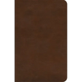 ESV Concise Study Bible(tm) (Trutone, Brown)