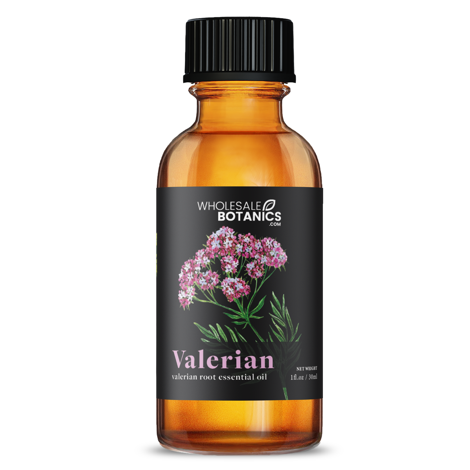 Valerian Essential Oil