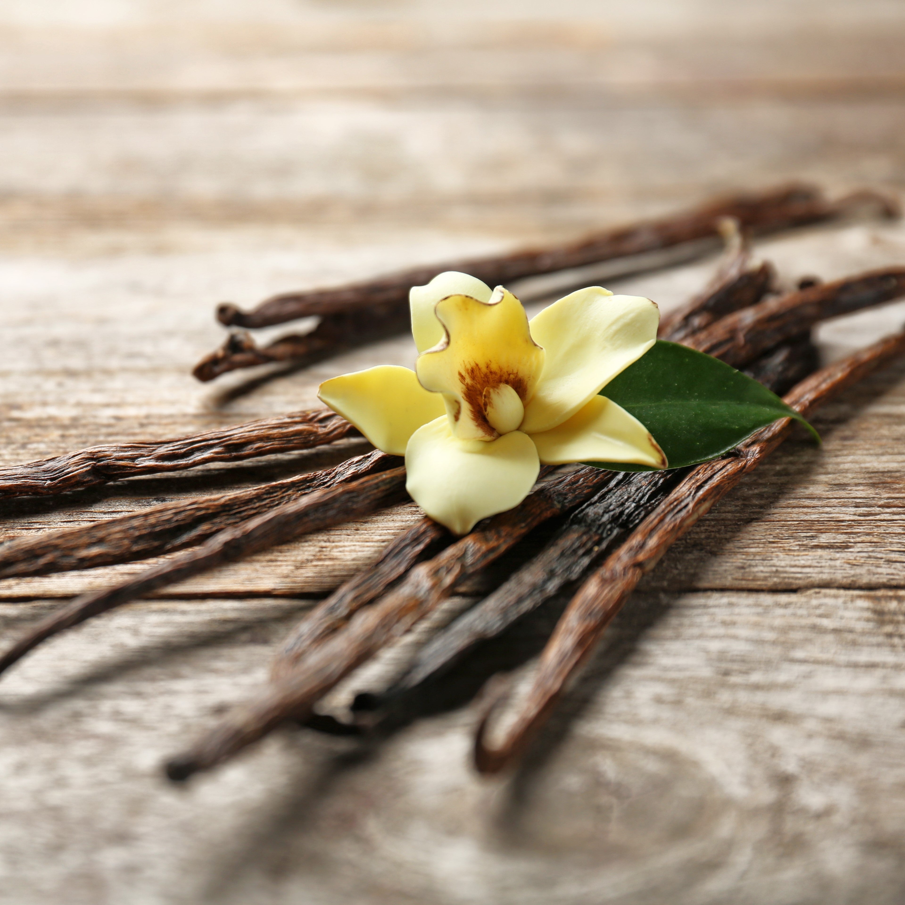 Vanilla Essential Oil