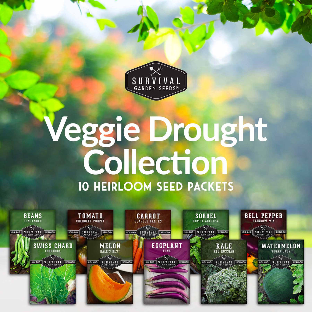 Drought-Tolerant Vegetable Seeds Variety Pack – 10 Heat-Resilient, Full-Sun Garden Favorites for Dry Climate Growing