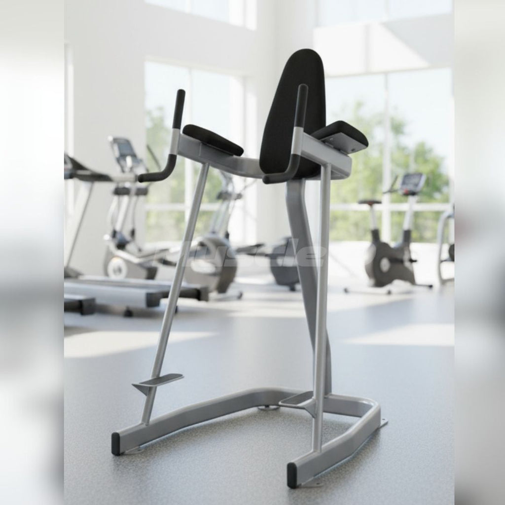 Vertical Knee Raise - Elite Series - Muscle D Fitness - Sturdy Vertical Knee Raise
