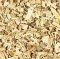 White Willow | Natural Pain Relief & Anti-Inflammatory Support