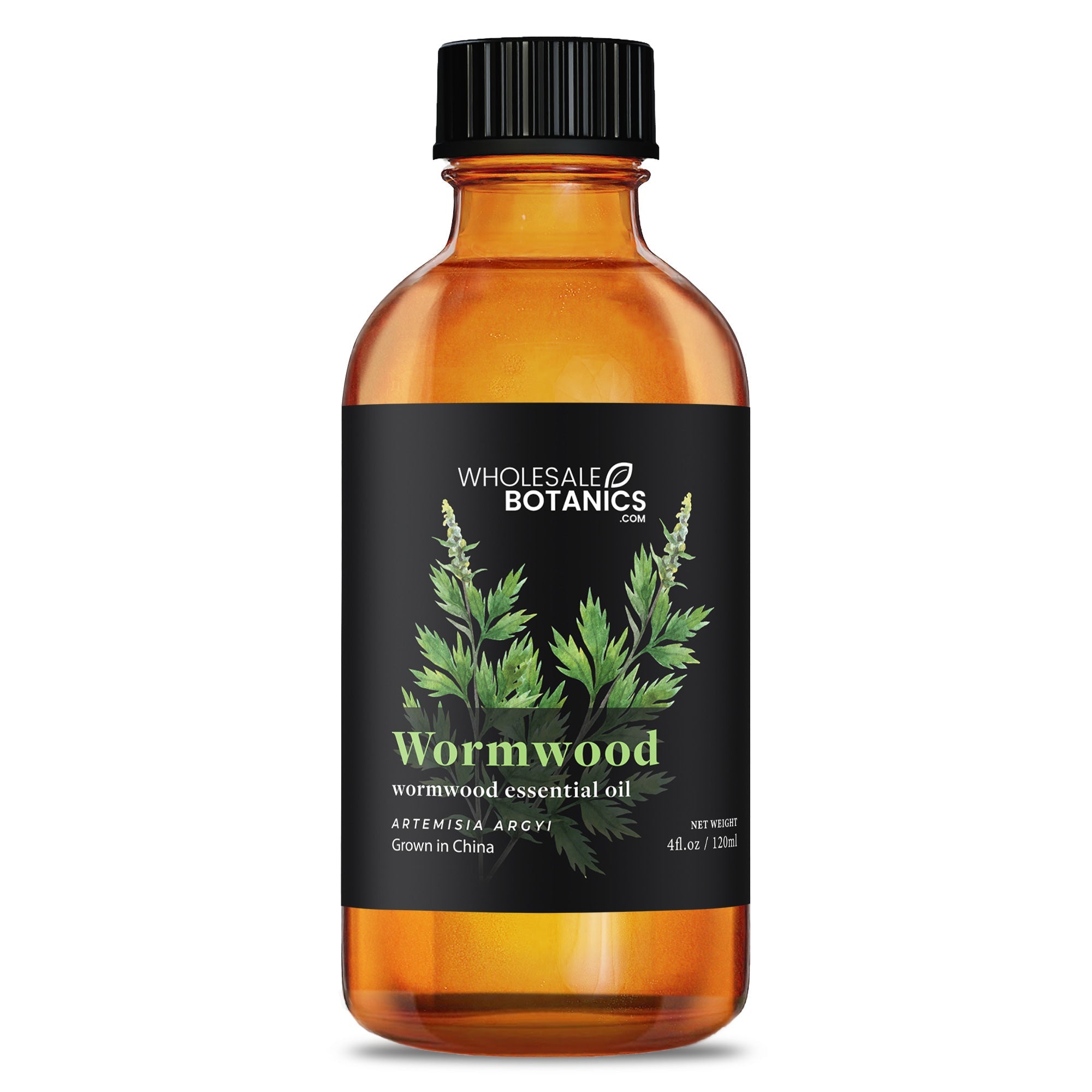 Wormwood Essential Oil