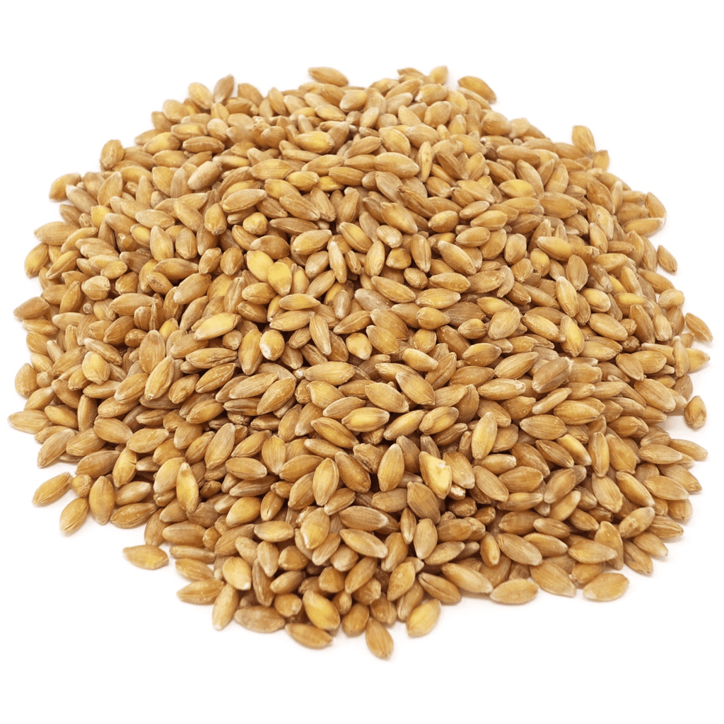 Einkorn Berries, Organic