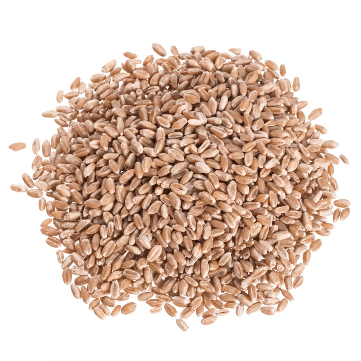 Wheat Berries, Hard Red, Organic