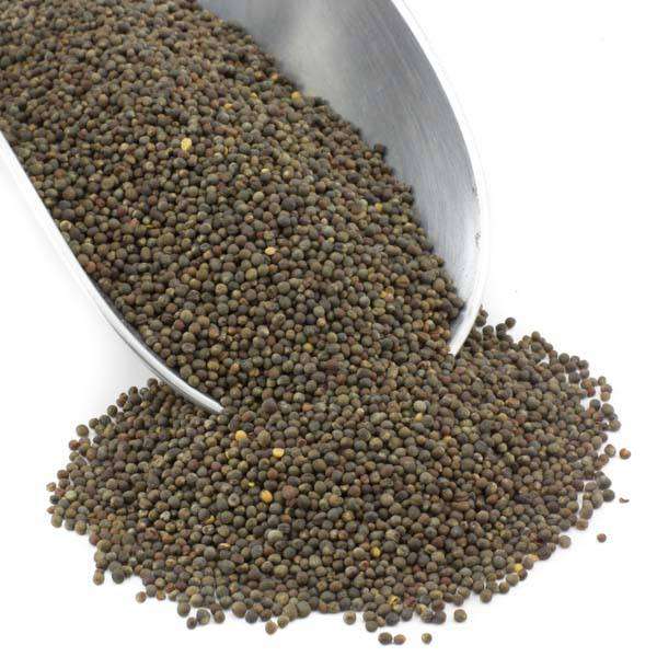 Broccoli Seed, Organic