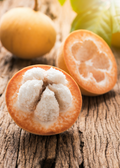 Santol (Sandoricum koetjape)