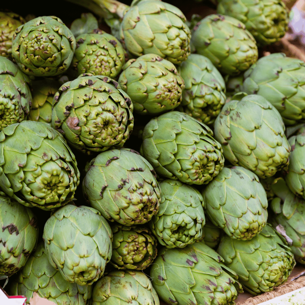 Green Globe Artichoke – 25 Seeds