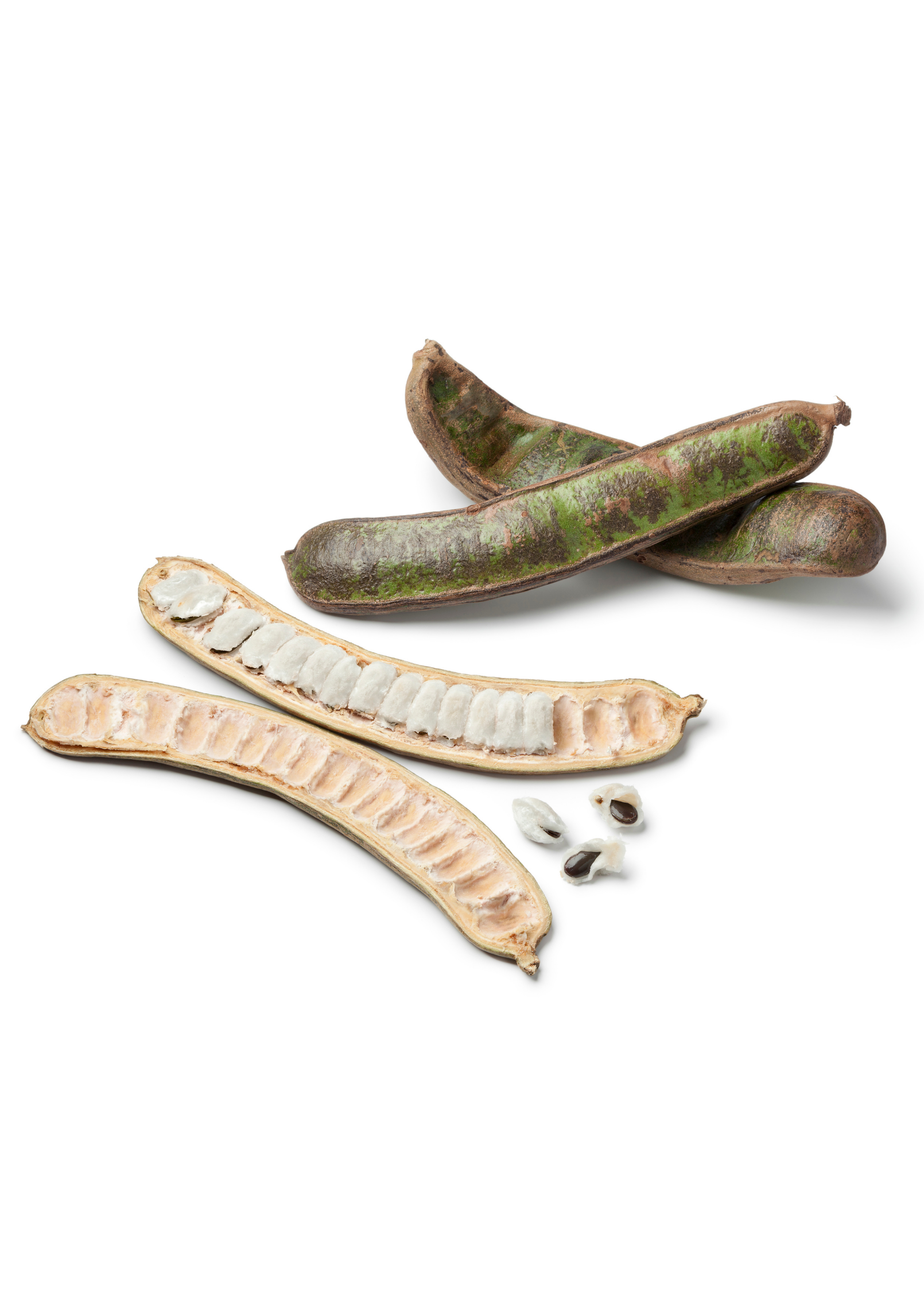 Ice Cream Bean (Inga edulis)
