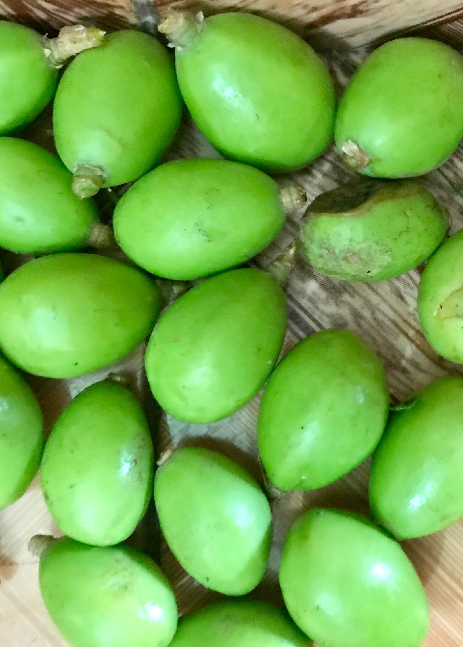 June Plum (Spondias dulcis)