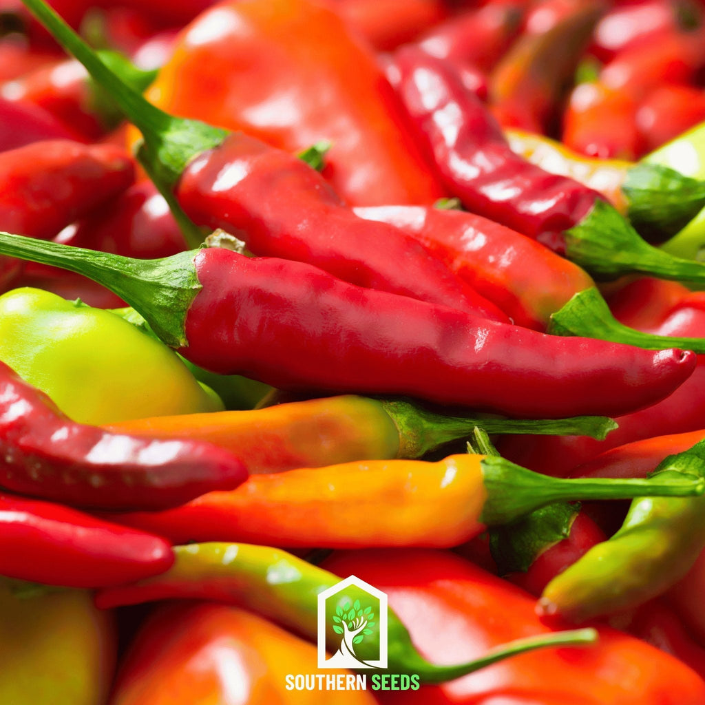 Pepper Seed Collection – 6 Essential Heirloom Peppers