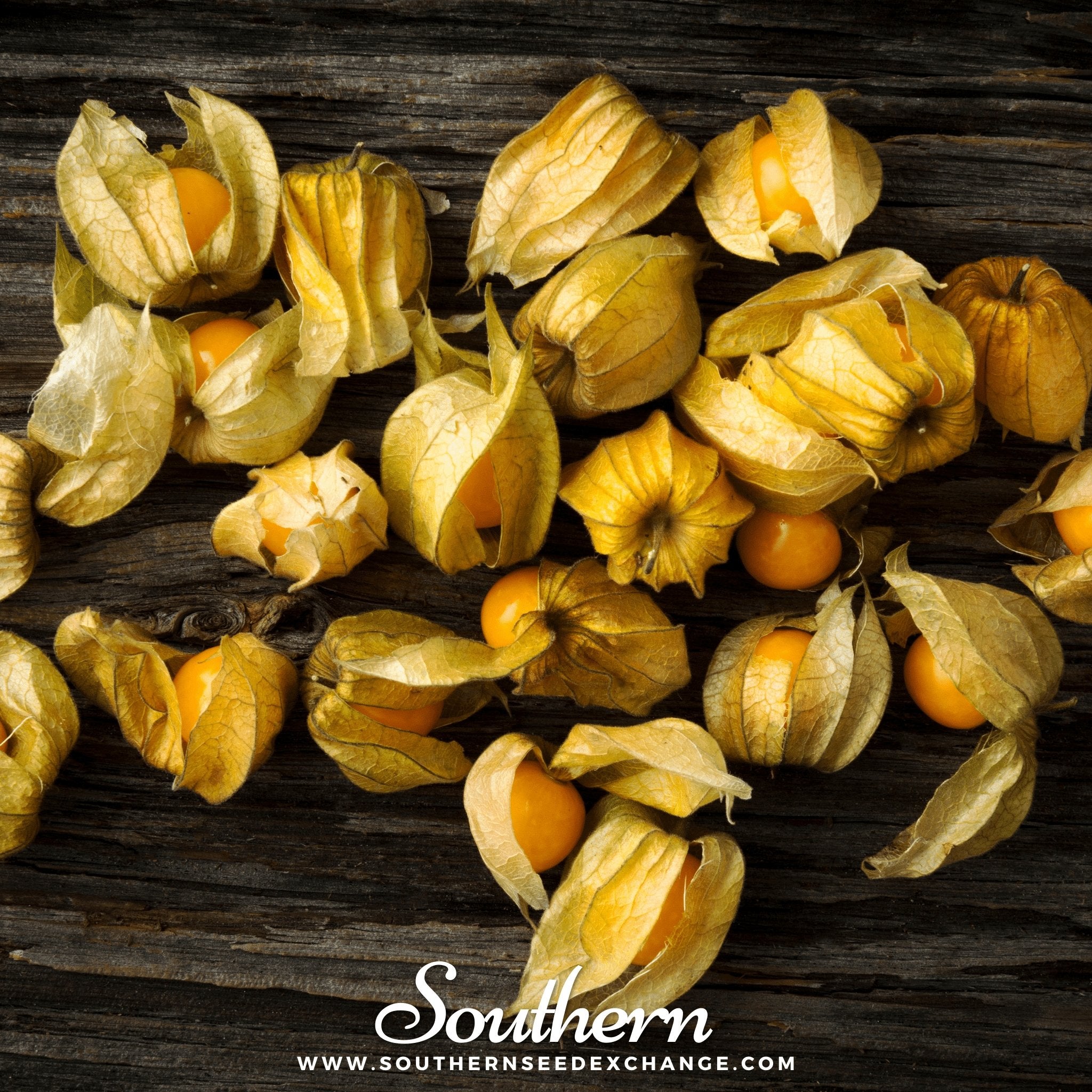 Husk Cherry Tomatillo – 20 Seeds