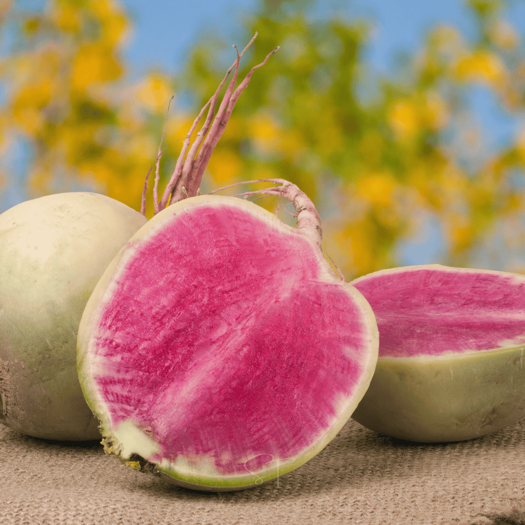 Watermelon Radish – 50 Seeds