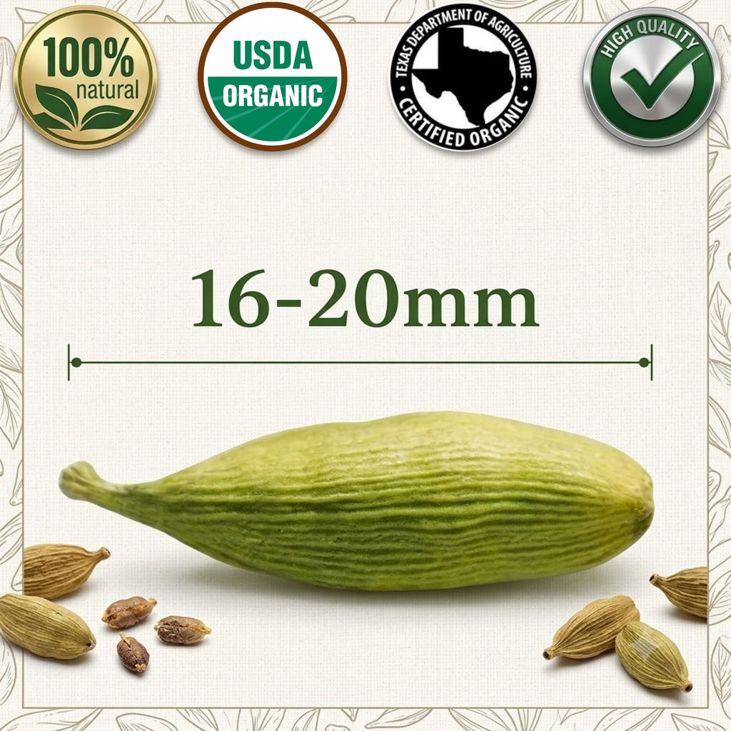 Organic Cardamom Pods — USDA Certified, Non-GMO | Jumbo Green Pods, Chai & Biryani